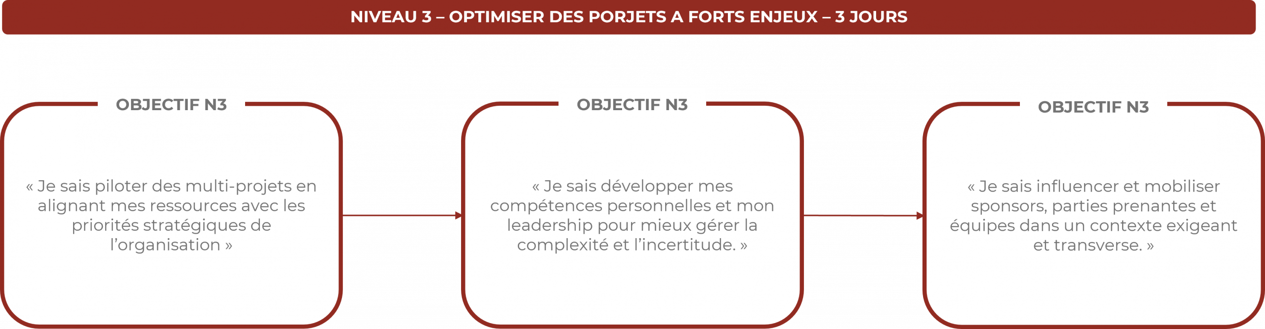 Formation gestion de projets experts, pour les chefs de projets certifiés
